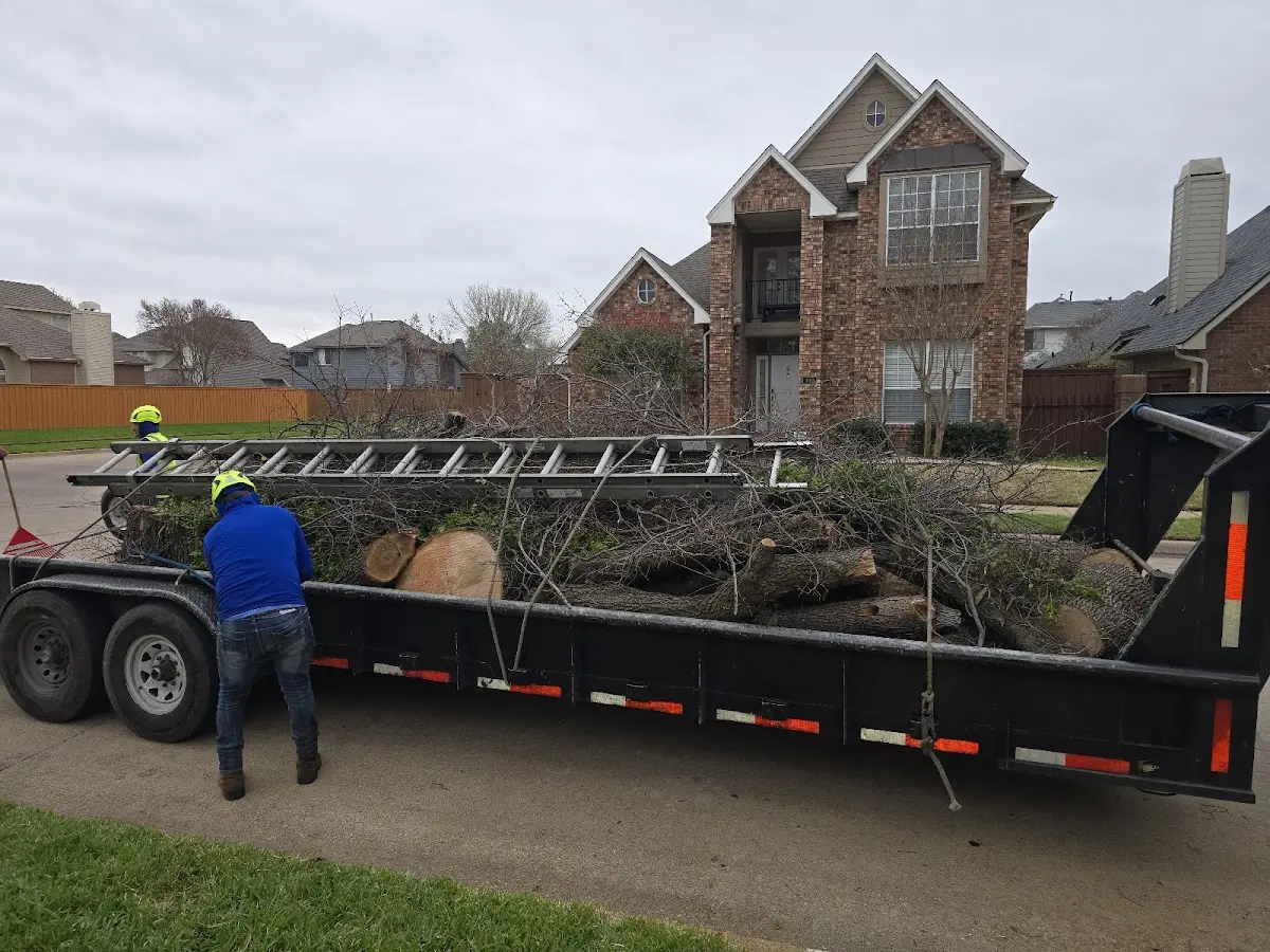 Expert Tree Removal with proper safety equipment in Bremo Bluff